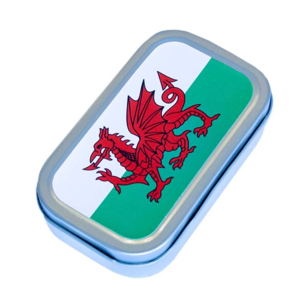 Metal Storage Box Small Wales