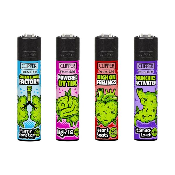 Clipper Premium Smoking Lighters - 420 Anatomy - Wholesale Display