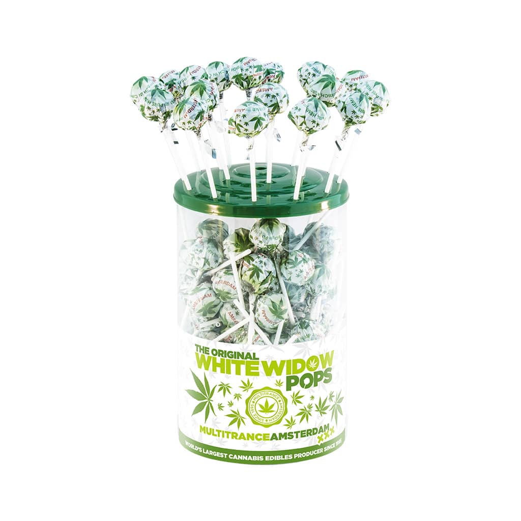 a display container of Multitrance cannabis flavoured white widow pops lollies containing 100 lollipops