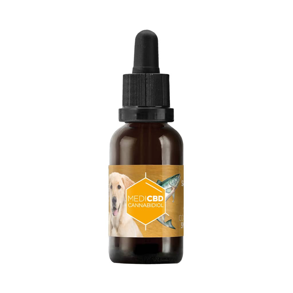 a single 30ml bottle of Multitrance full spectrum 10% CBD oil with salmon oil for dogs